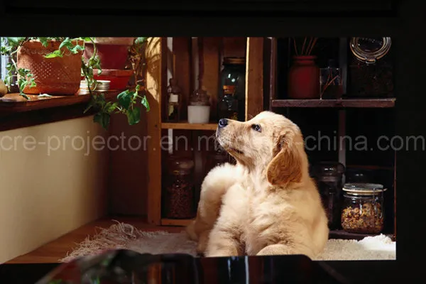 Long Lamp Life 1500 Lumens HD LED Mini Projector