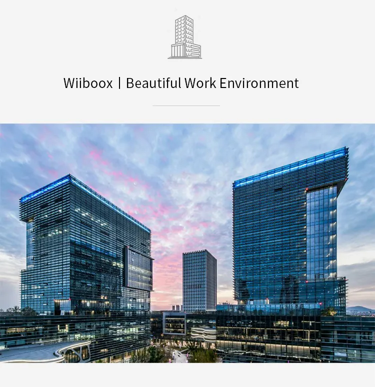 Wiibooxsweetin 3D Printer Chocolate Filament 3D Chocolate Printer